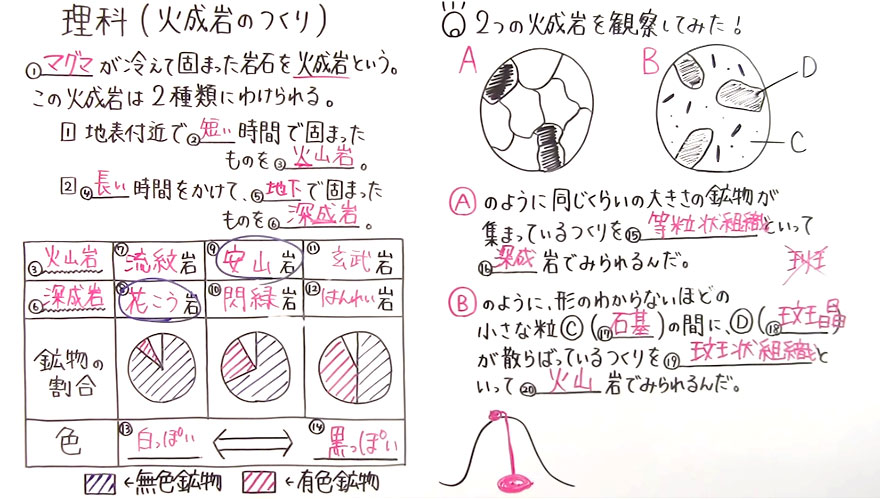 中学１年の理科 動画 51解答 19ch