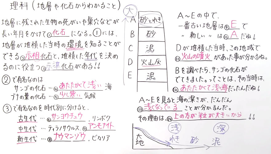 中学１年の理科 動画 56解答 19ch