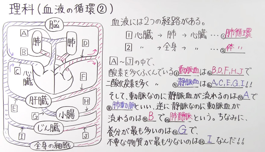 中2理科-22