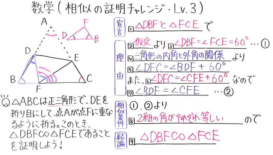 中3数学-48