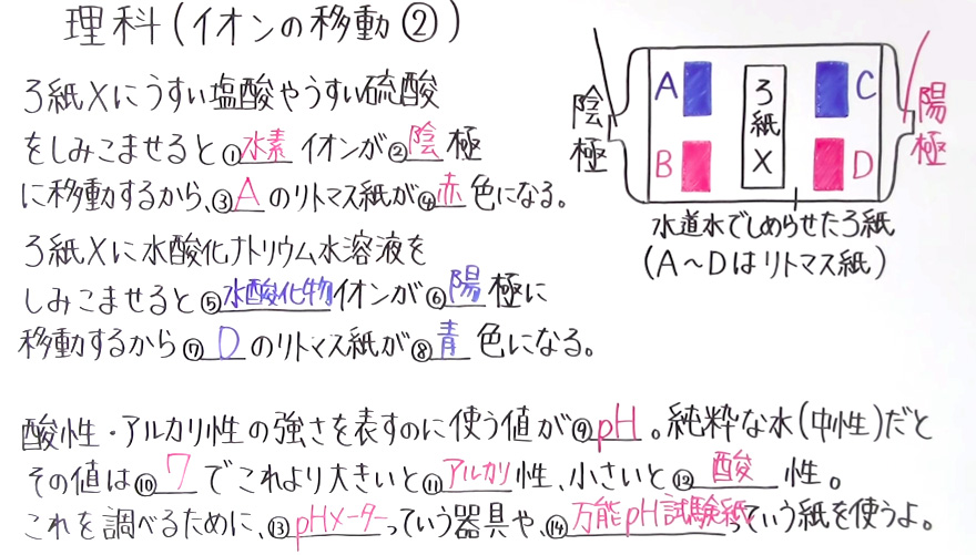 中3理科-10