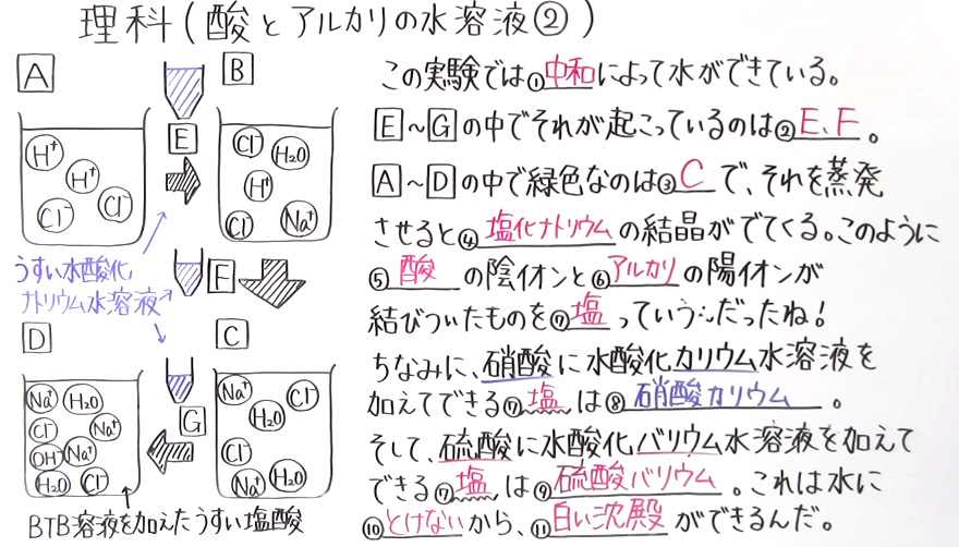 中3理科-12