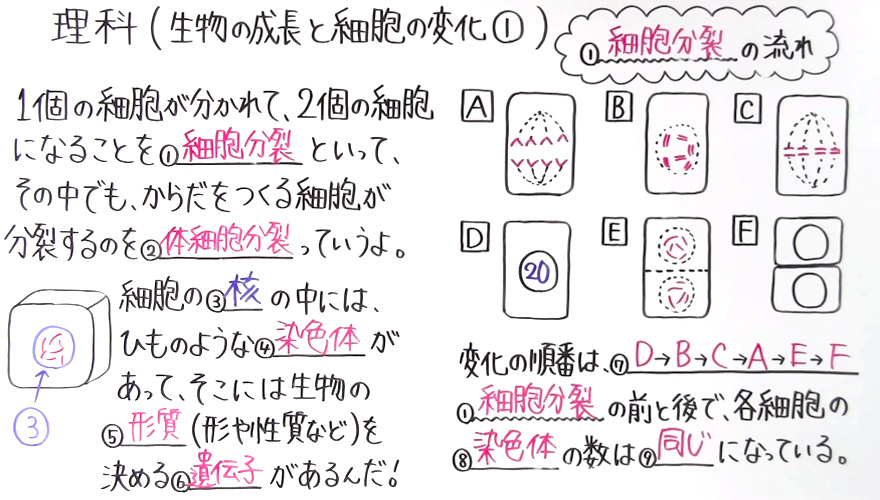 中3理科-13