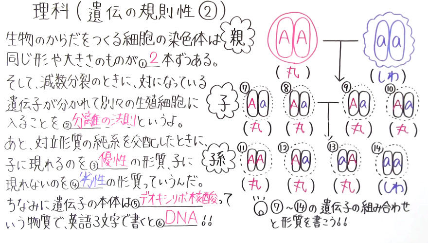 中3理科-19