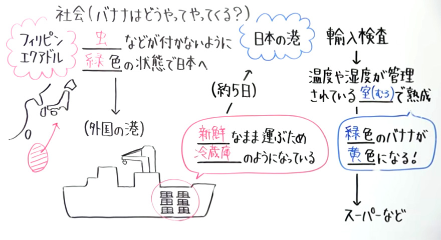 小学社会-5