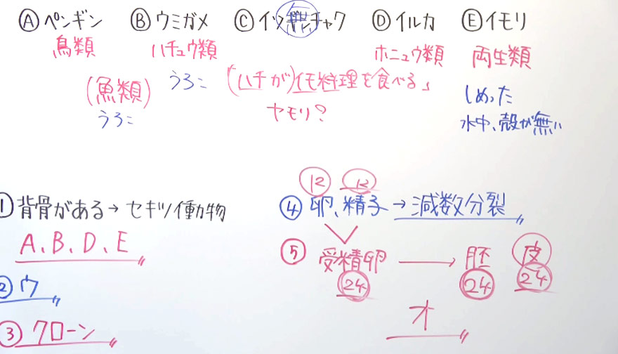 中１数学-4