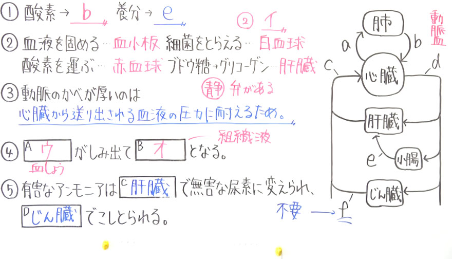 中１数学-9