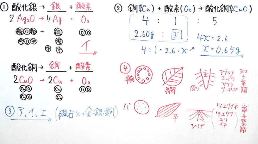 【高校受験対策】理科－死守-17