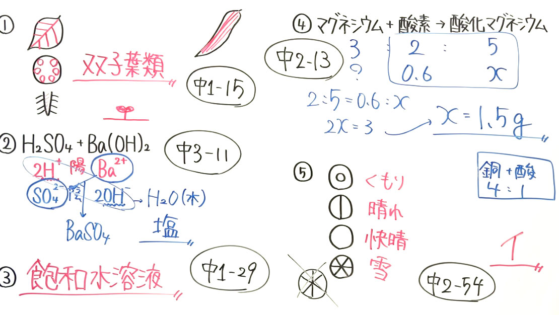 【高校受験対策】理科－死守-3